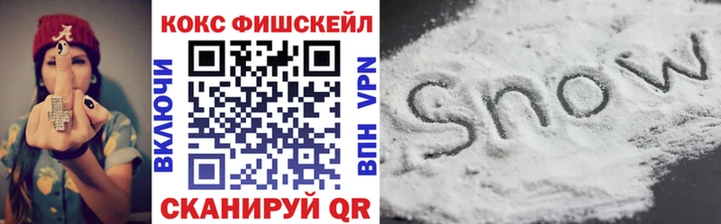 OMG   Данилов  COCAIN Columbia 