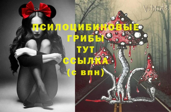 индика Алексин