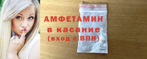 индика Алексин