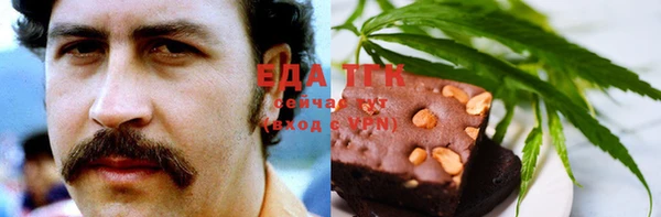 индика Алексин