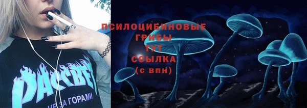 индика Алексин