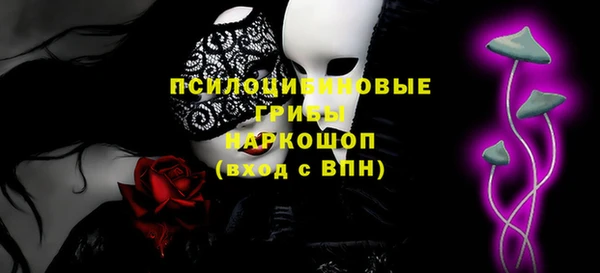 индика Алексин