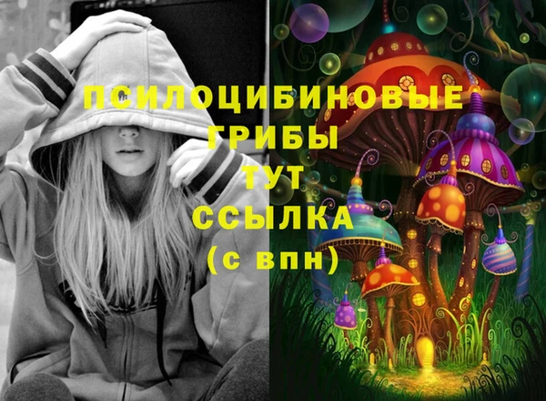 герыч Алзамай