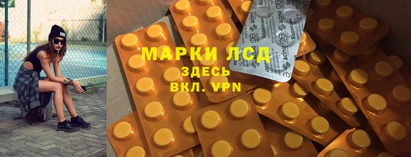 индика Алексин